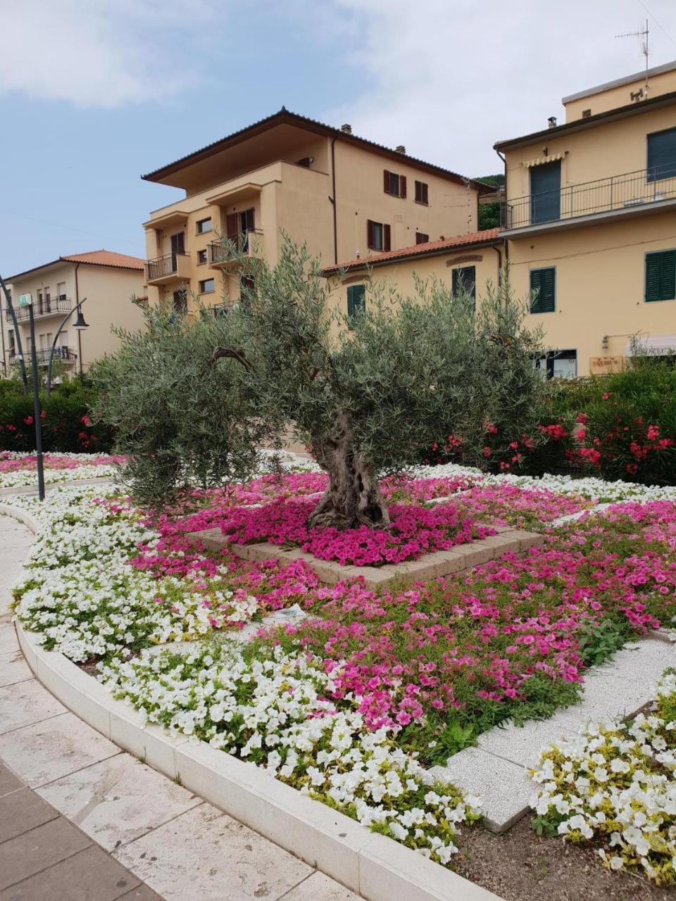 Hotel Lucerna Castiglione della Pescaia Esterno foto